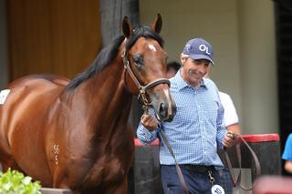 Ohukia Lodge's Lot 10. Photo: Trish Dunell.